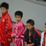 4th world junior wushu 8